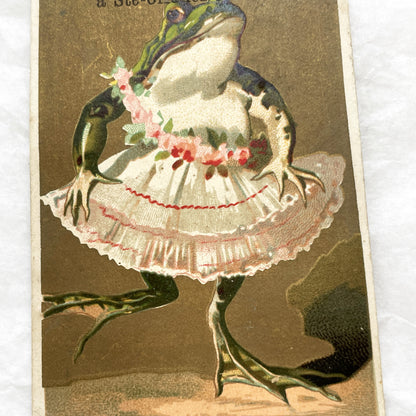 Late 19th - French Chicory Candeliez Trade Card - Dancing Frog Ballerina Chromo i Advertising Collectible - 'Mon Premier Pas'