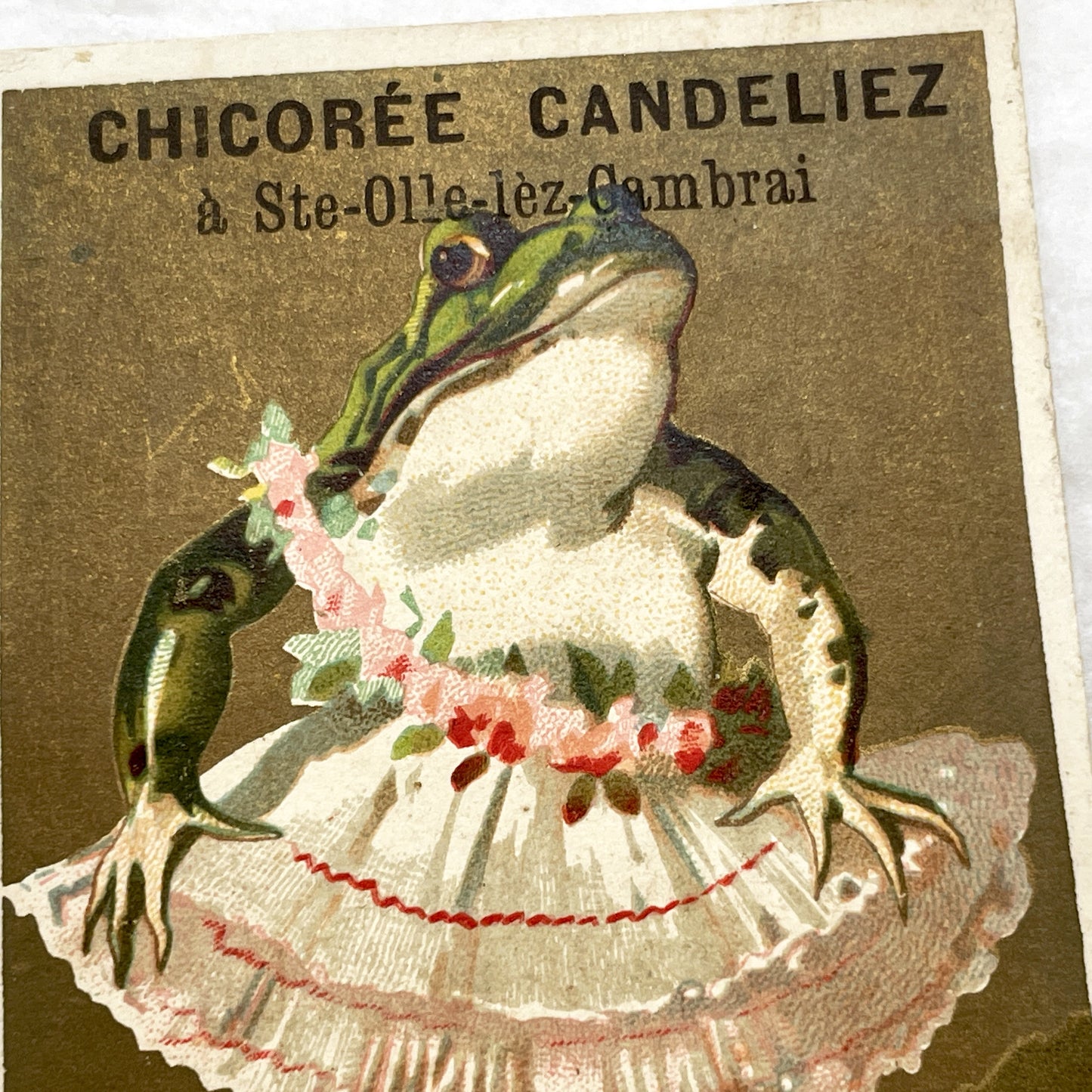 Late 19th - French Chicory Candeliez Trade Card - Dancing Frog Ballerina Chromo i Advertising Collectible - 'Mon Premier Pas'