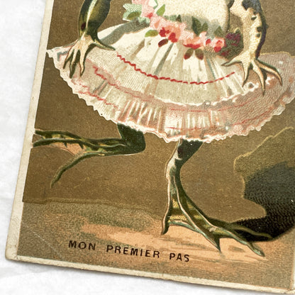 Late 19th - French Chicory Candeliez Trade Card - Dancing Frog Ballerina Chromo i Advertising Collectible - 'Mon Premier Pas'