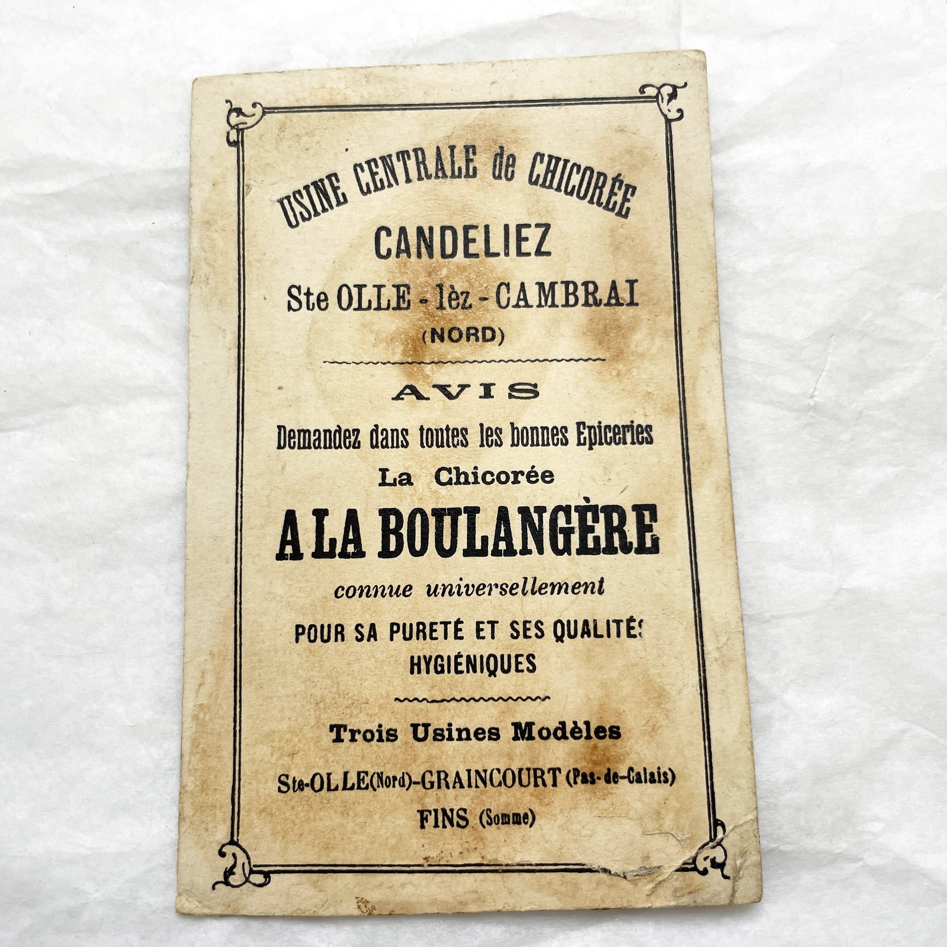 Late 19th - French Chicory Candeliez Trade Card - Dancing Frog Ballerina Chromo i Advertising Collectible - 'Mon Premier Pas'