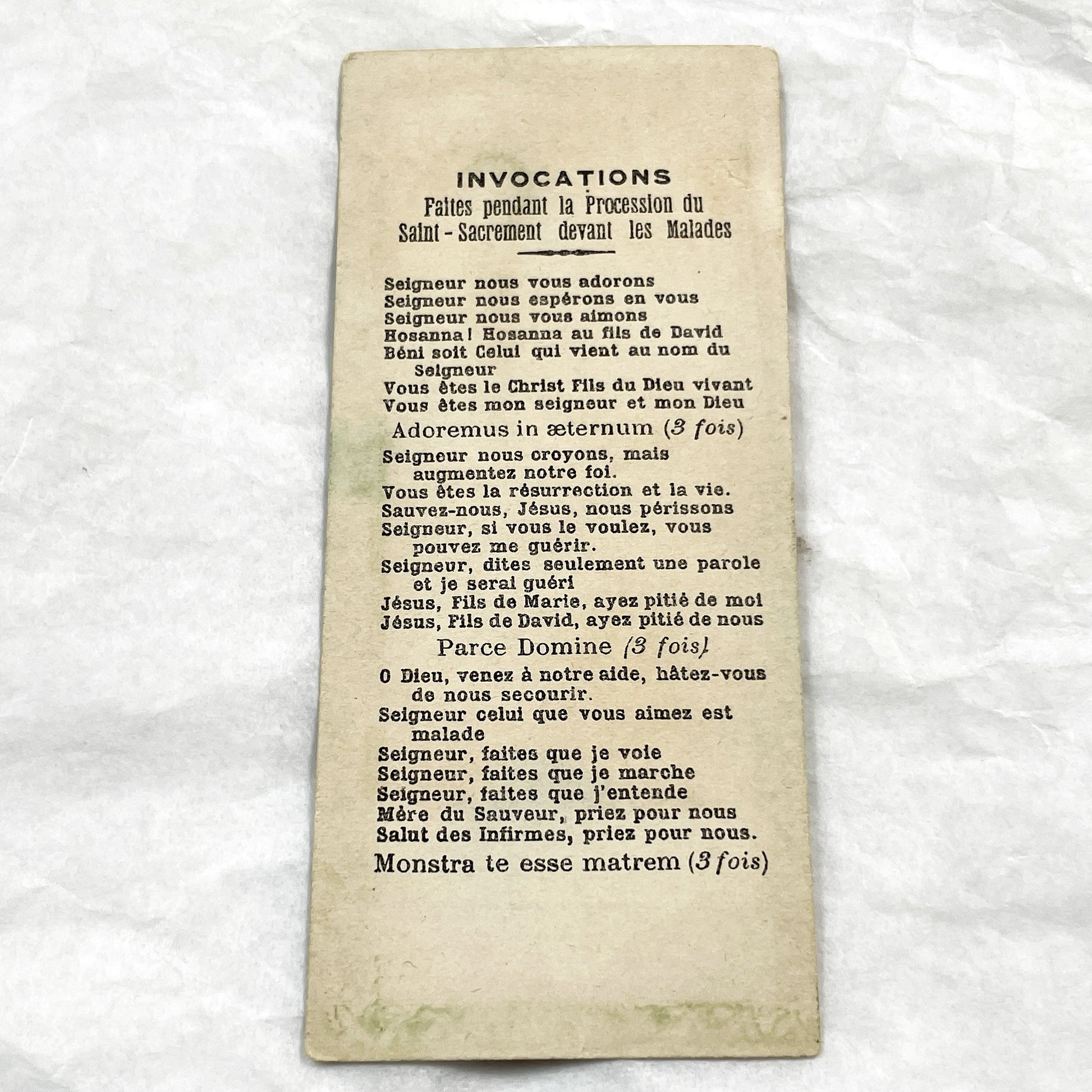 1910s - Vintage Our Lady of Lourdes Holy Card - Saint Bernadette Apparition - French Catholic Prayer Indulgence Card - Antique Devotional