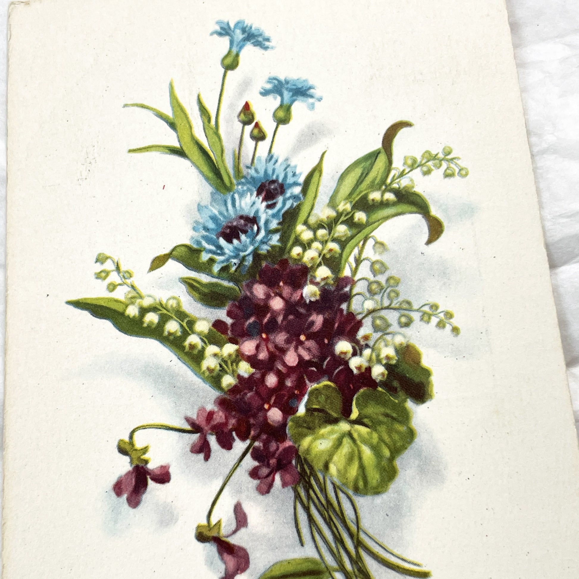 1950s - French Floral Greeting Cards - Pink Roses & Happy Anniversary Chromo - Botanical Art Ephemera
