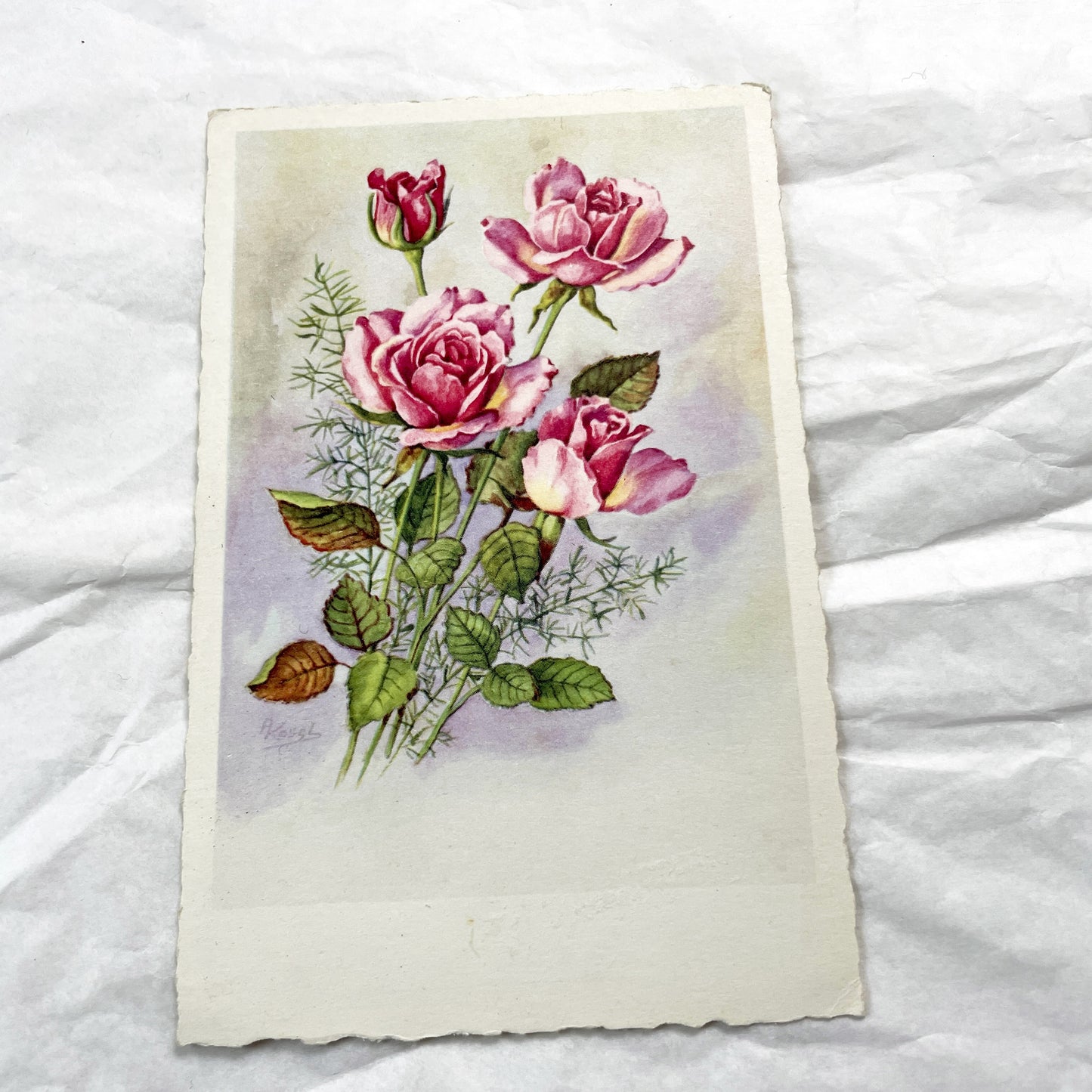1950s - French Floral Greeting Cards - Pink Roses & Happy Anniversary Chromo - Botanical Art Ephemera