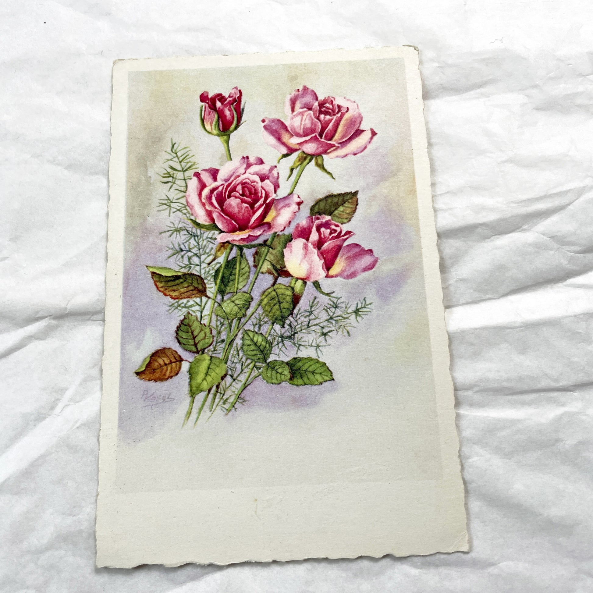 1950s - French Floral Greeting Cards - Pink Roses & Happy Anniversary Chromo - Botanical Art Ephemera