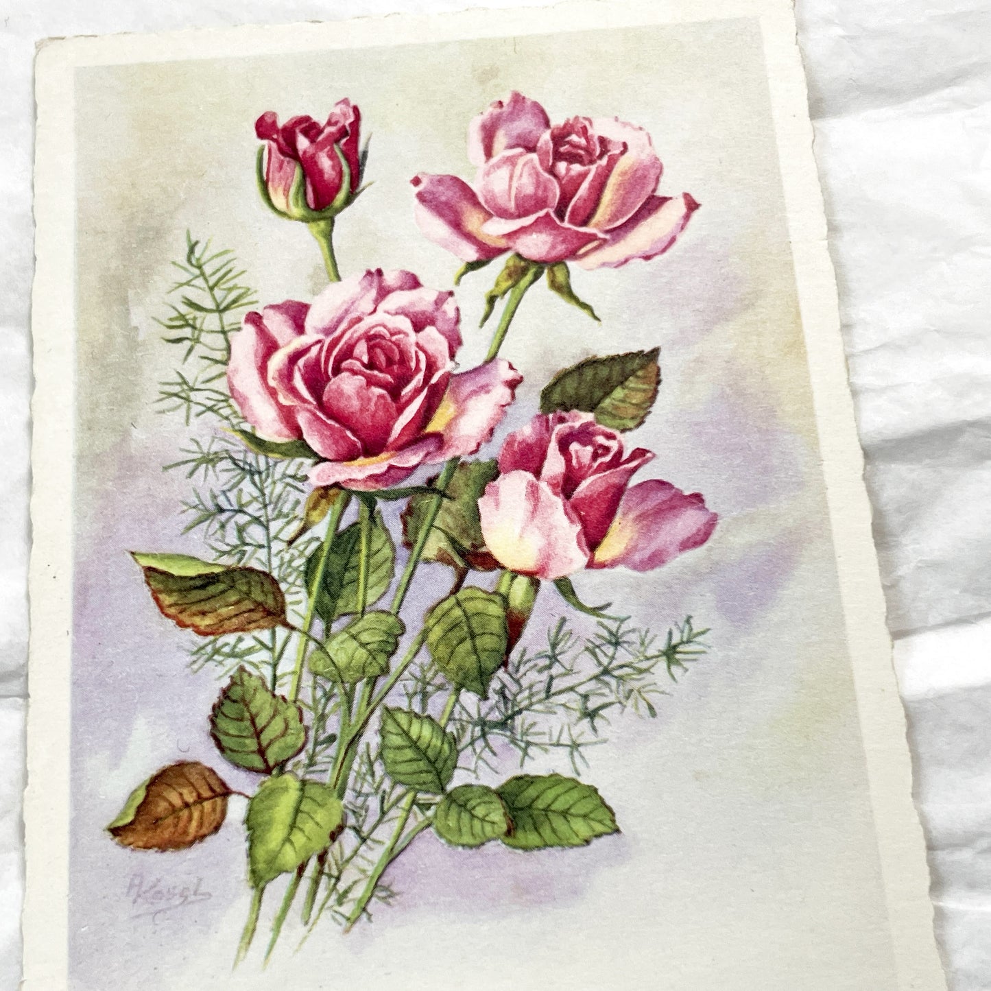 1950s - French Floral Greeting Cards - Pink Roses & Happy Anniversary Chromo - Botanical Art Ephemera