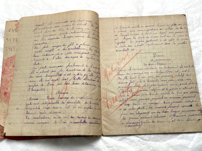 1920s - French School Notebook - Young Girl's Handwritten Exercises - Vintage Educational Ephemera - Original Manuscript