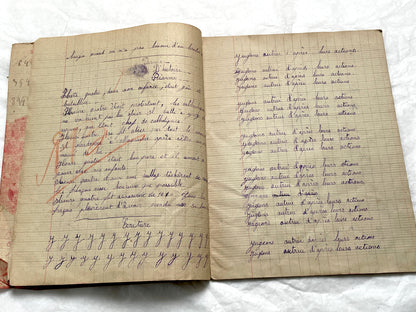 1920s - French School Notebook - Young Girl's Handwritten Exercises - Vintage Educational Ephemera - Original Manuscript
