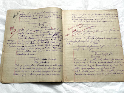 1920s - Vintage French School Notebook - Young Girl's Historical Education Ephemera - Handwritten Lessons