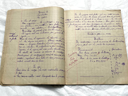 1920s - Vintage French School Notebook - Young Girl's Historical Education Ephemera - Handwritten Lessons