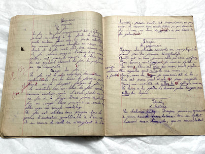 1920s - Vintage French School Notebook - Young Girl's Historical Education Ephemera - Handwritten Lessons