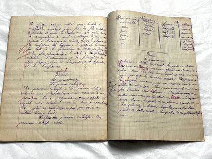 1920s - Vintage French School Notebook - Young Girl's Historical Education Ephemera - Handwritten Lessons