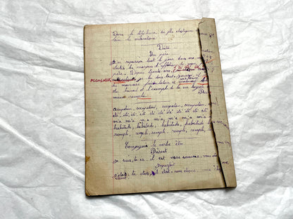 1920s - Vintage French School Notebook - Young Girl's Historical Education Ephemera - Handwritten Lessons
