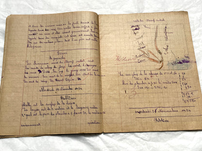 1920s - Vintage French School Notebook - Schoolgirl's Handwritten Cahier de Classe - Authentic French Education Ephemera from 1920s