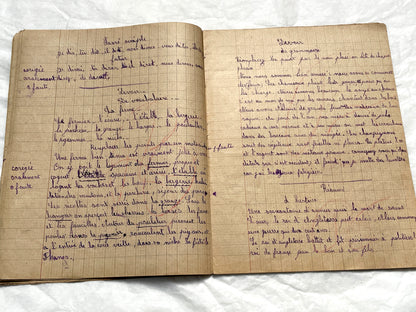 1920s - Vintage French School Notebook - Schoolgirl's Handwritten Cahier de Classe - Authentic French Education Ephemera from 1920s