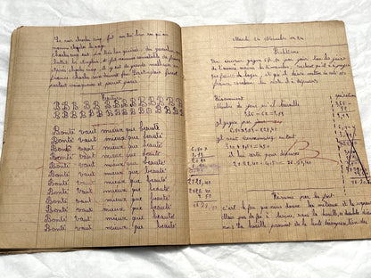1920s - Vintage French School Notebook - Schoolgirl's Handwritten Cahier de Classe - Authentic French Education Ephemera from 1920s