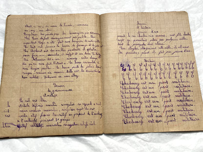 1920s - Vintage French School Notebook - Schoolgirl's Handwritten Cahier de Classe - Authentic French Education Ephemera from 1920s