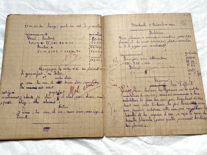 1920s - Vintage French School Notebook - Schoolgirl's Handwritten Cahier de Classe - Authentic French Education Ephemera from 1920s