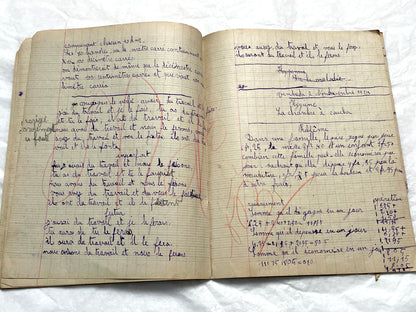 1920s - French School Notebook - Young Girl's Handwritten Lessons - Vintage Educational Ephemera - School Journal