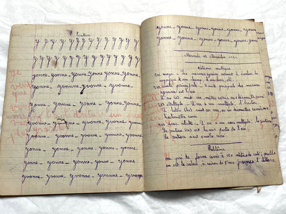 1920s - French School Notebook - Young Girl's Handwritten Lessons - Vintage Educational Ephemera - School Journal