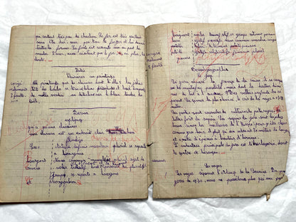 1920s - French School Notebook - Young Girl's Handwritten Lessons - Vintage Educational Ephemera - School Journal