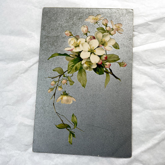 Late 19th - Antique Botanical Postcard - Shimmering White Blossoms Print - Vintage Floral Art Décor - Victorian Ephemera Collectible