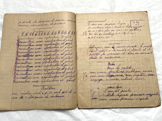 1920s - Authentic French School Notebook - Young Girl's Handwritten Journal - Daily Lessons - French History Ephemera