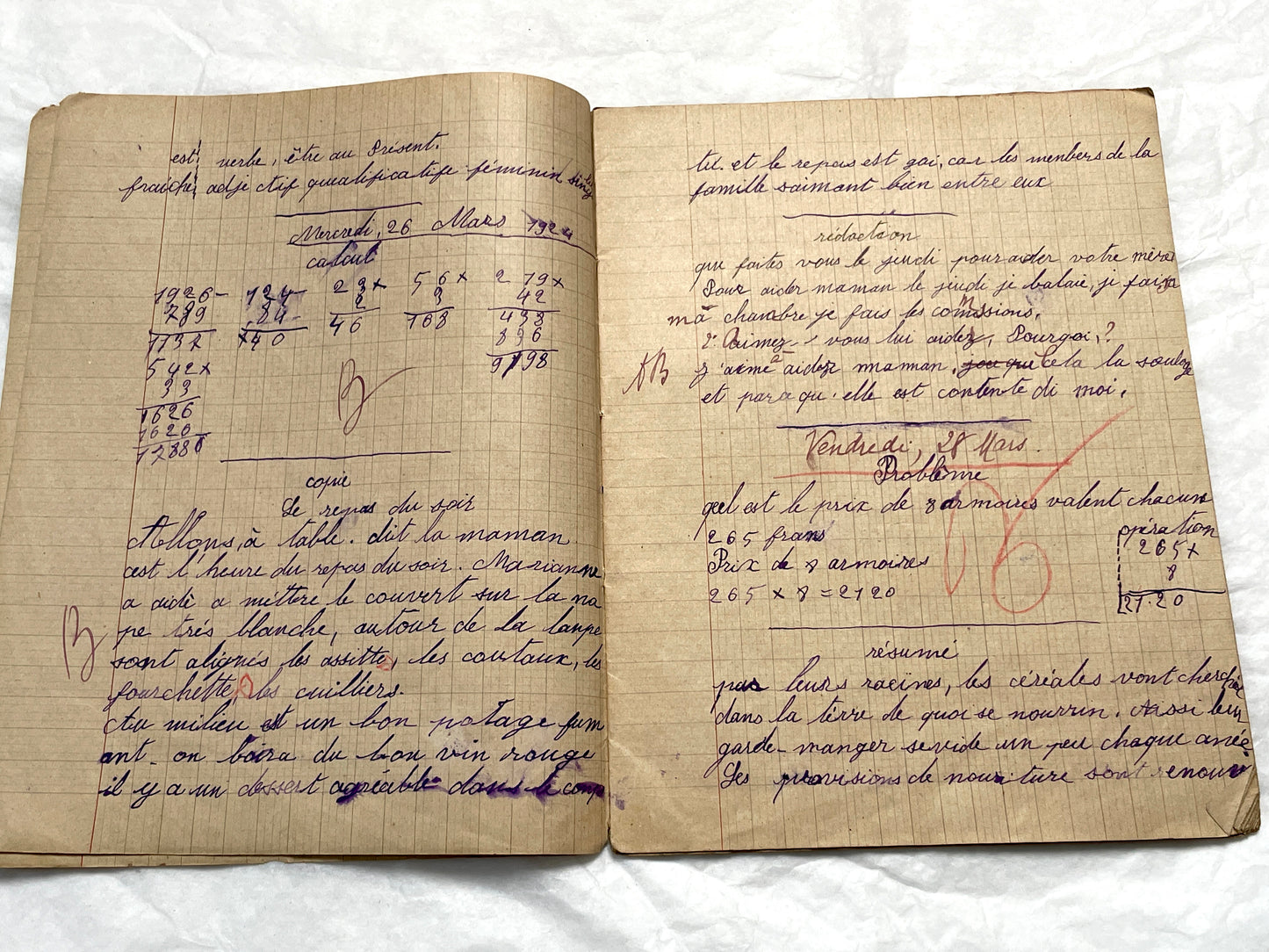 1920s - Authentic French School Notebook - Young Girl's Handwritten Journal - Daily Lessons - French History Ephemera