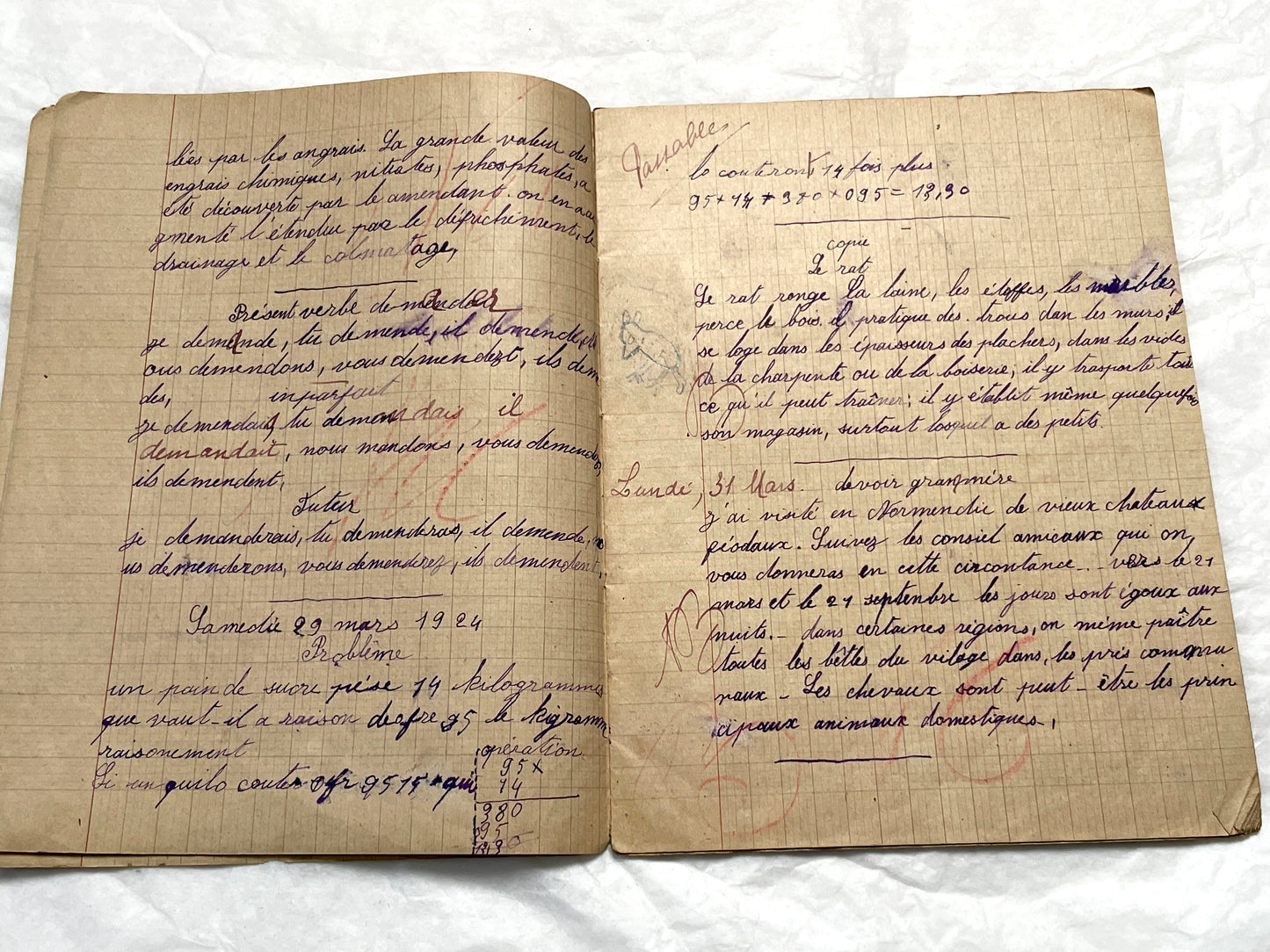 1920s - Authentic French School Notebook - Young Girl's Handwritten Journal - Daily Lessons - French History Ephemera