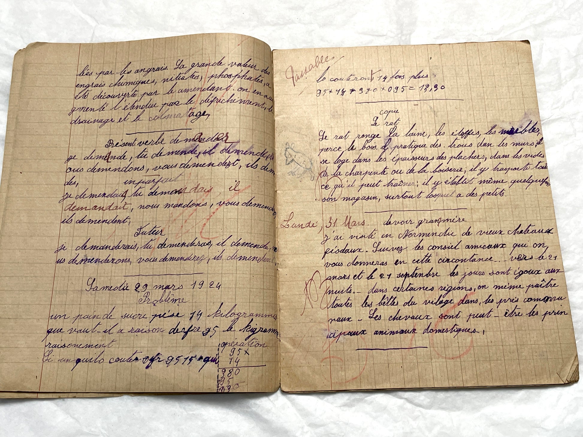 1920s - Authentic French School Notebook - Young Girl's Handwritten Journal - Daily Lessons - French History Ephemera