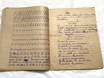 1920s - Authentic French School Notebook - Young Girl's Handwritten Journal - Daily Lessons - French History Ephemera
