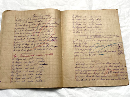 1920s - Authentic French School Notebook - Young Girl's Handwritten Journal - Daily Lessons - French History Ephemera