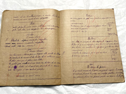1920s - Authentic French School Notebook - Young Girl's Handwritten Journal - Daily Lessons - French History Ephemera