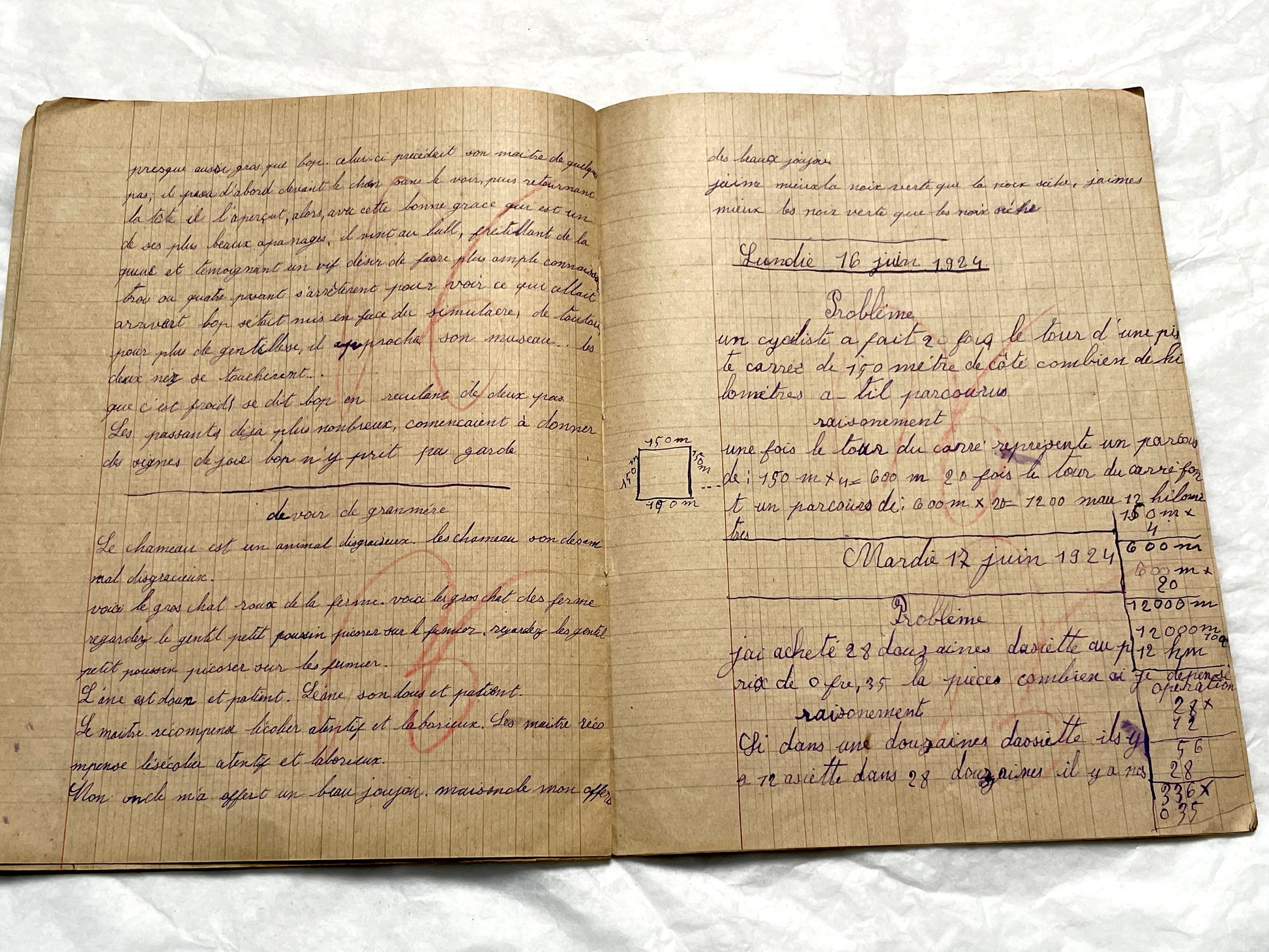 1920s - Authentic French School Notebook - Young Girl's Handwritten Journal - Daily Lessons - French History Ephemera
