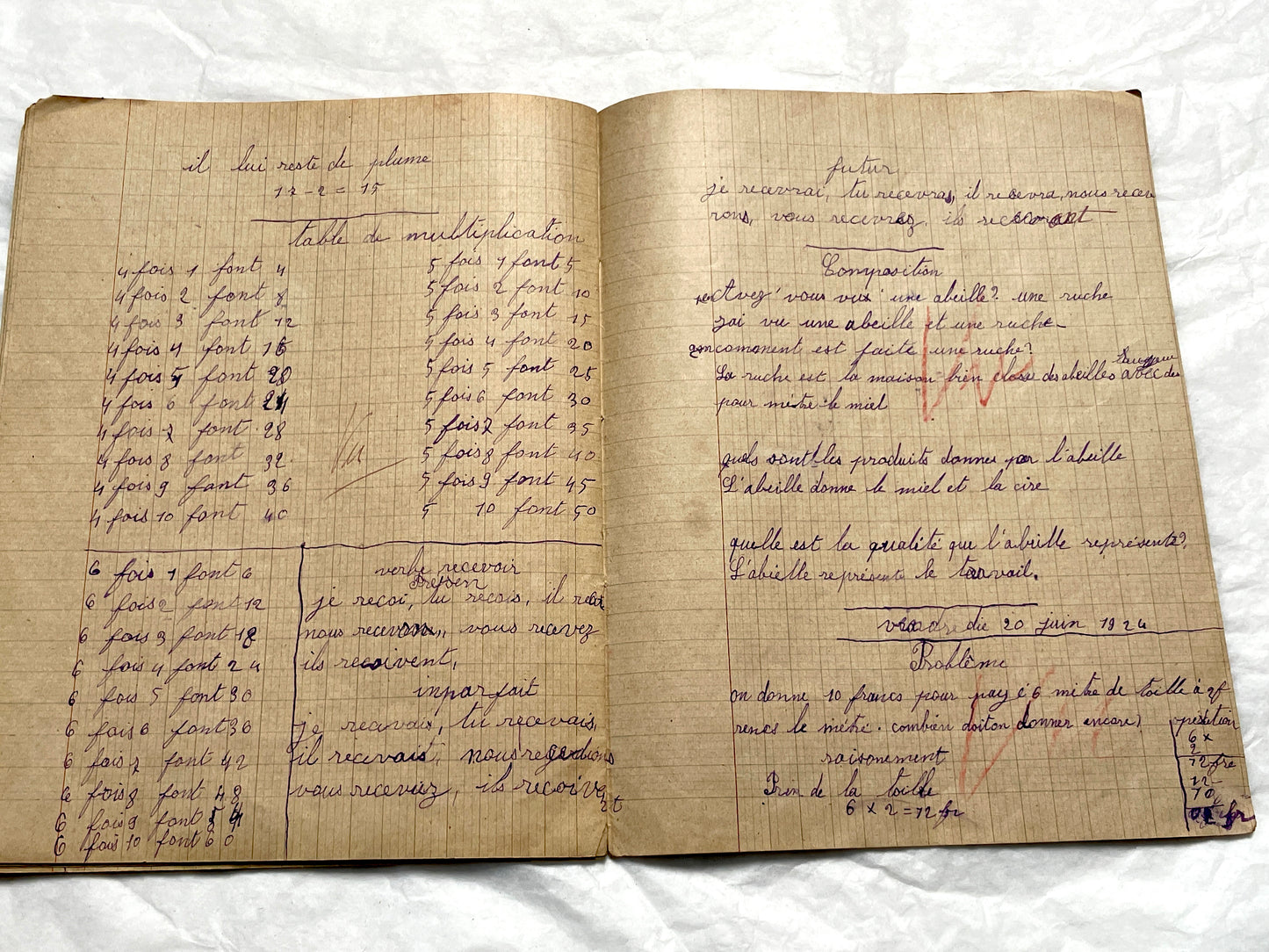 1920s - Authentic French School Notebook - Young Girl's Handwritten Journal - Daily Lessons - French History Ephemera