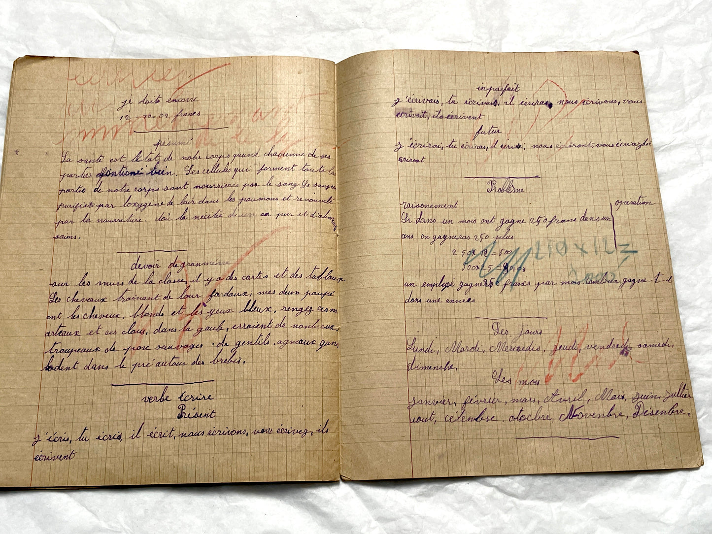 1920s - Authentic French School Notebook - Young Girl's Handwritten Journal - Daily Lessons - French History Ephemera