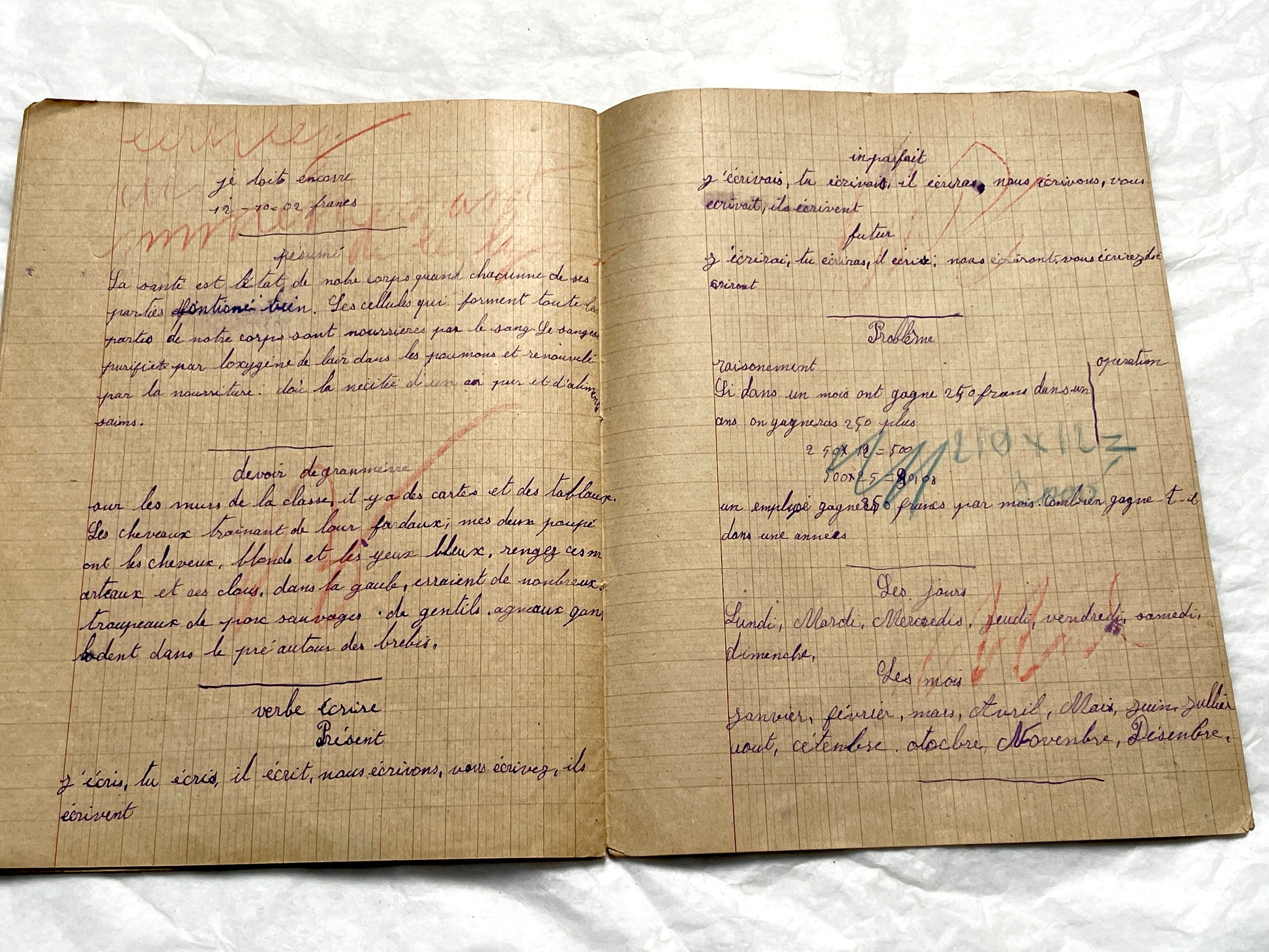 1920s - Authentic French School Notebook - Young Girl's Handwritten Journal - Daily Lessons - French History Ephemera