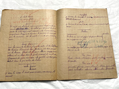 1920s - Authentic French School Notebook - Young Girl's Handwritten Journal - Daily Lessons - French History Ephemera