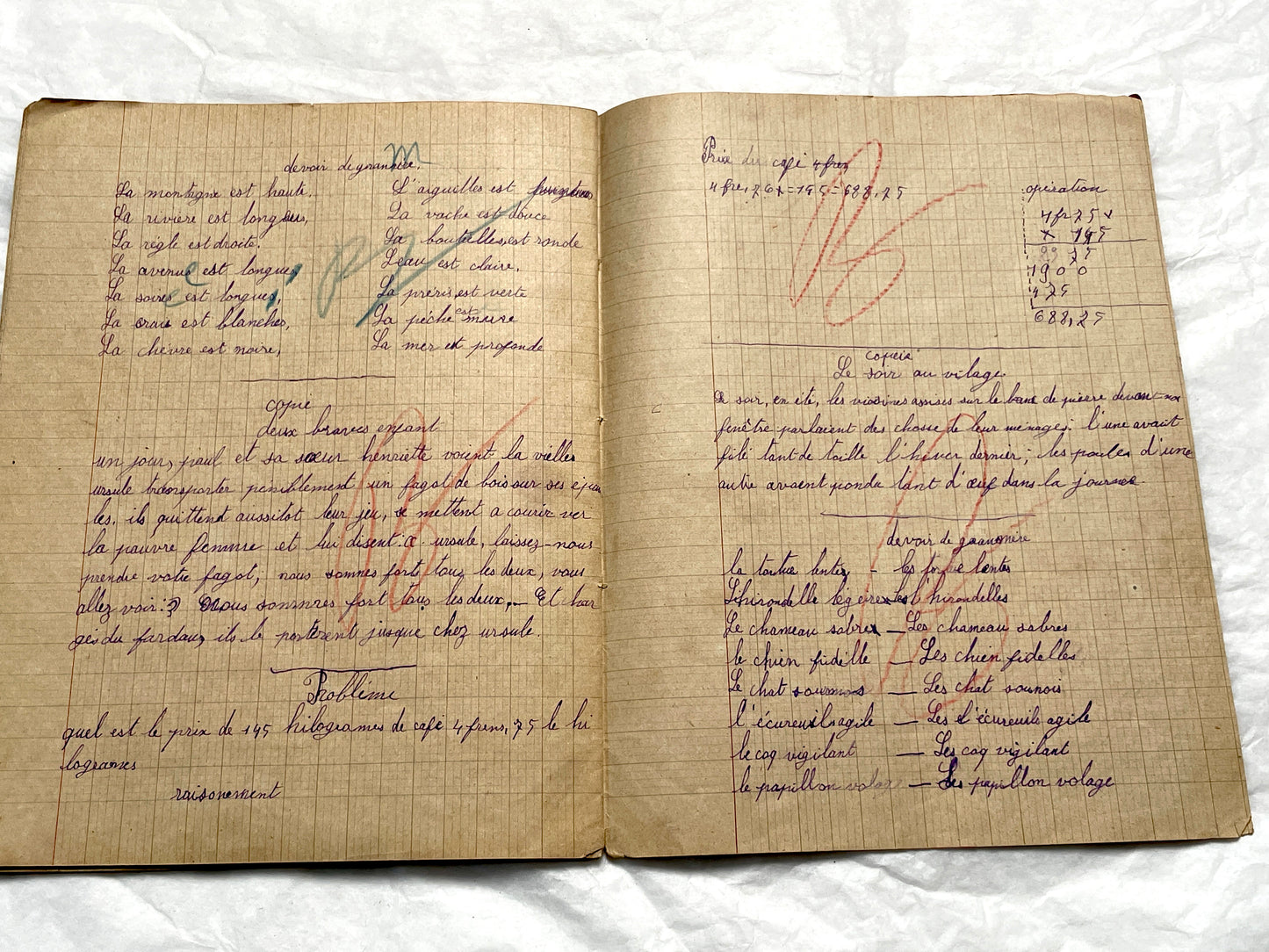 1920s - Authentic French School Notebook - Young Girl's Handwritten Journal - Daily Lessons - French History Ephemera
