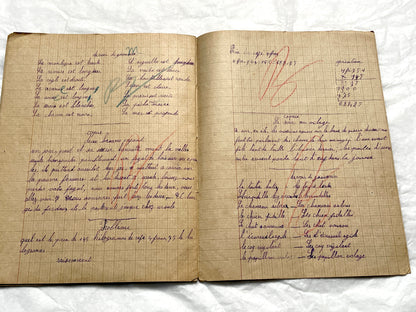 1920s - Authentic French School Notebook - Young Girl's Handwritten Journal - Daily Lessons - French History Ephemera