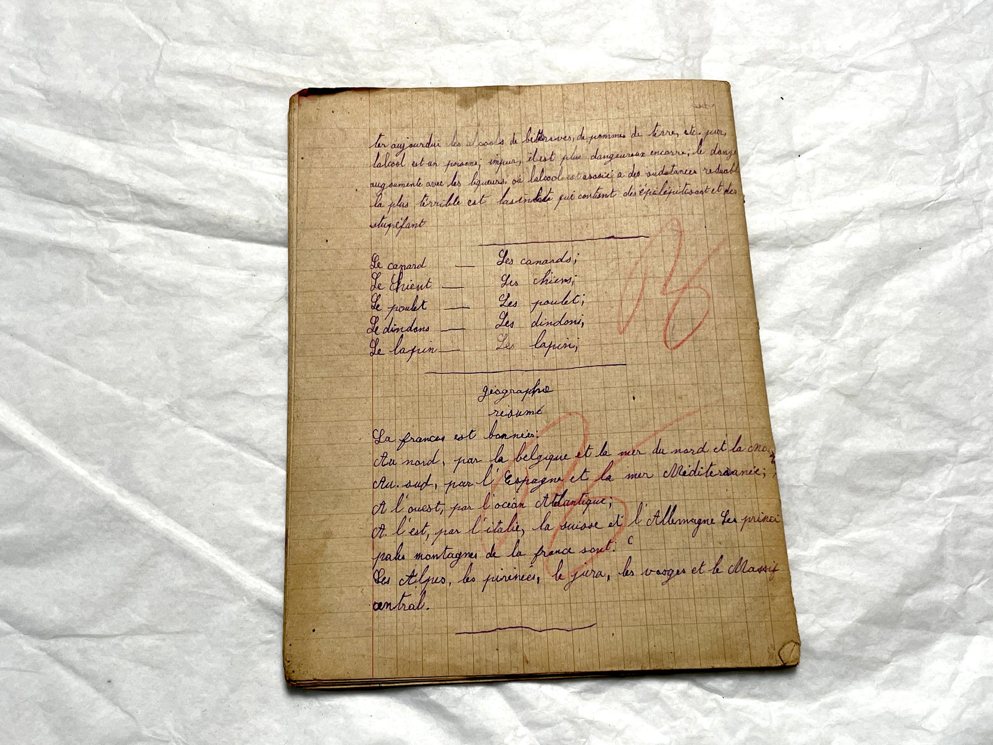 1920s - Authentic French School Notebook - Young Girl's Handwritten Journal - Daily Lessons - French History Ephemera