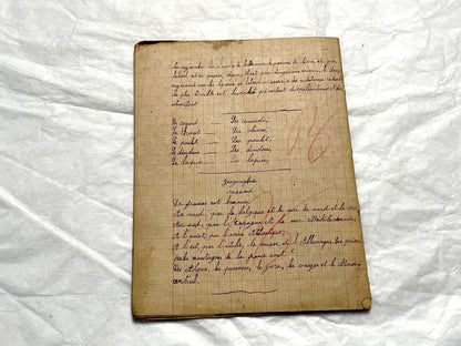1920s - Authentic French School Notebook - Young Girl's Handwritten Journal - Daily Lessons - French History Ephemera
