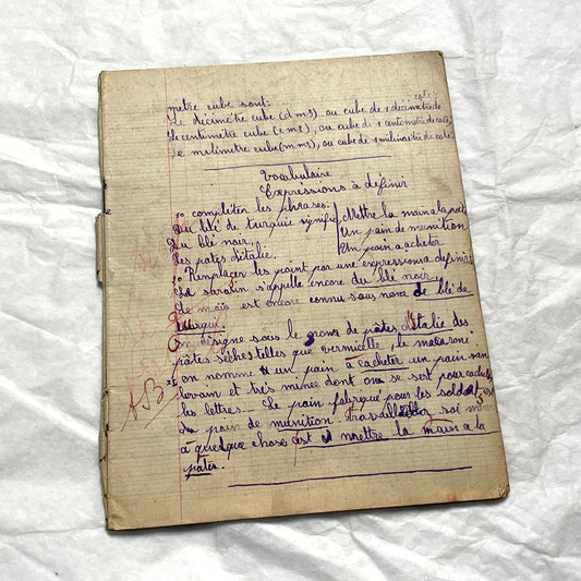 1920s - French School Notebook - Young Girl's Handwritten French Lessons - Authentic Vintage Ephemera Collectible - All Pages Photographed