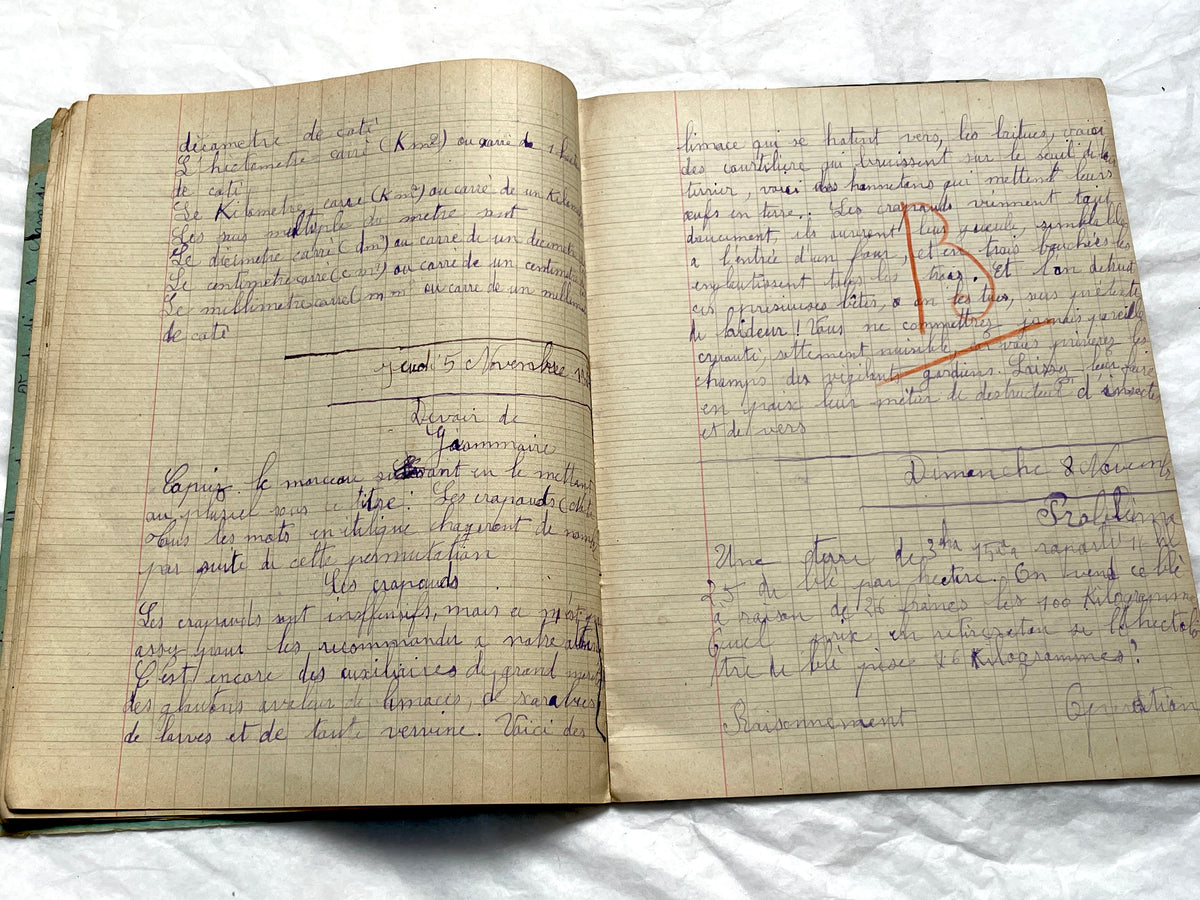 1920s - Vintage French School Notebook - Girl's Handwritten Journal - Classroom Ephemera