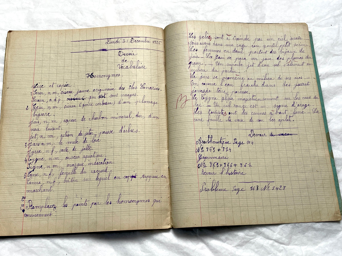 1920s - Vintage French School Notebook - Girl's Handwritten Journal - Classroom Ephemera