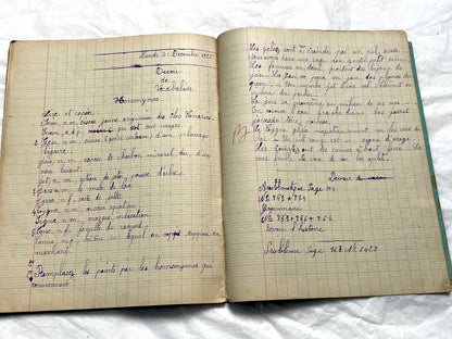 1920s - Vintage French School Notebook - Girl's Handwritten Journal - Classroom Ephemera