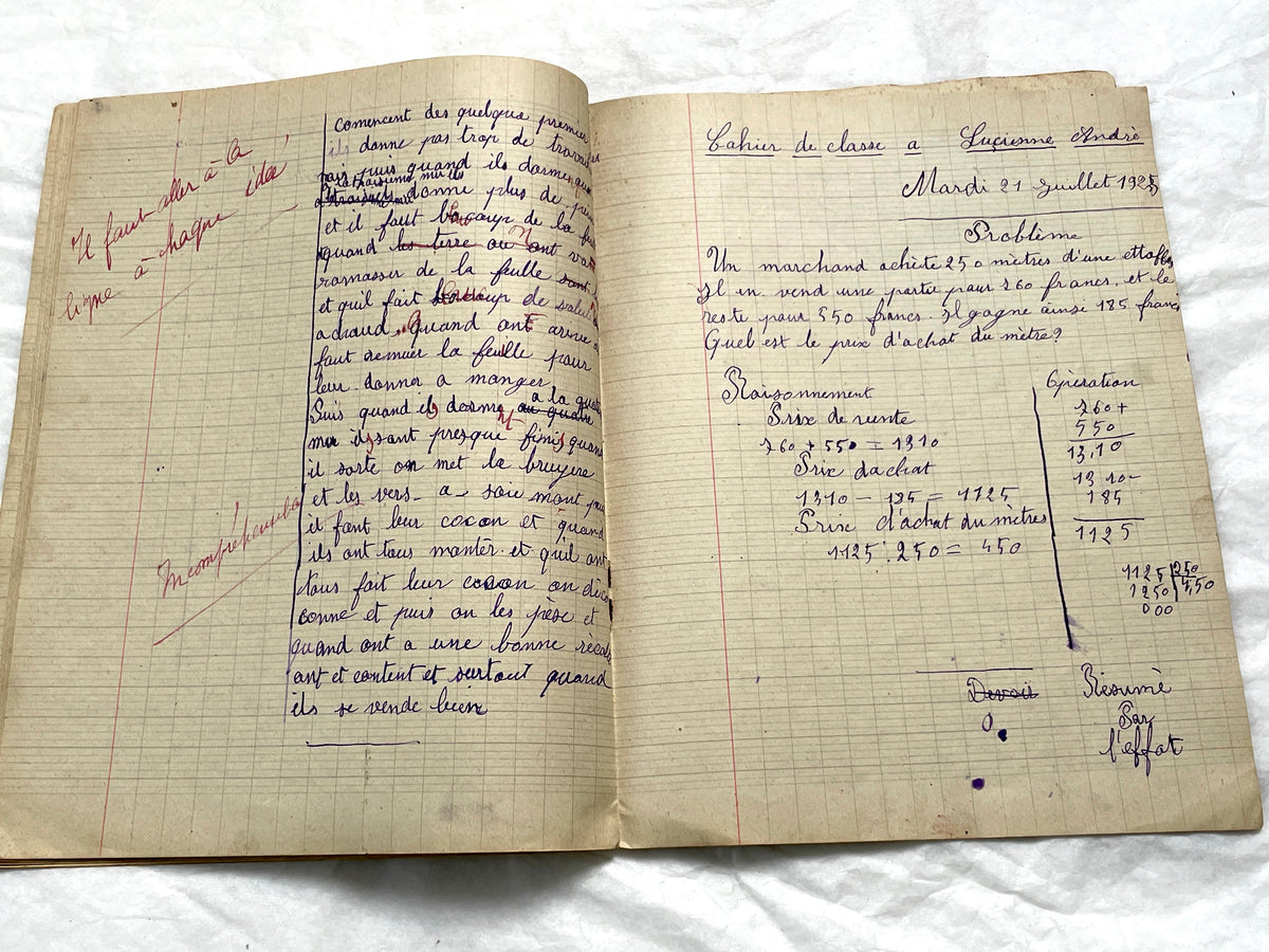 1920s - French School Notebook - Young Girl's Handwritten Composition Book, Grammar & Math Exercises - Vintage French Ephemera