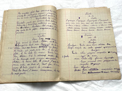 1920s - French School Notebook - Young Girl's Handwritten Composition Book, Grammar & Math Exercises - Vintage French Ephemera