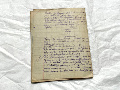 1920s - French School Notebook - Young Girl's Handwritten Composition Book, Grammar & Math Exercises - Vintage French Ephemera