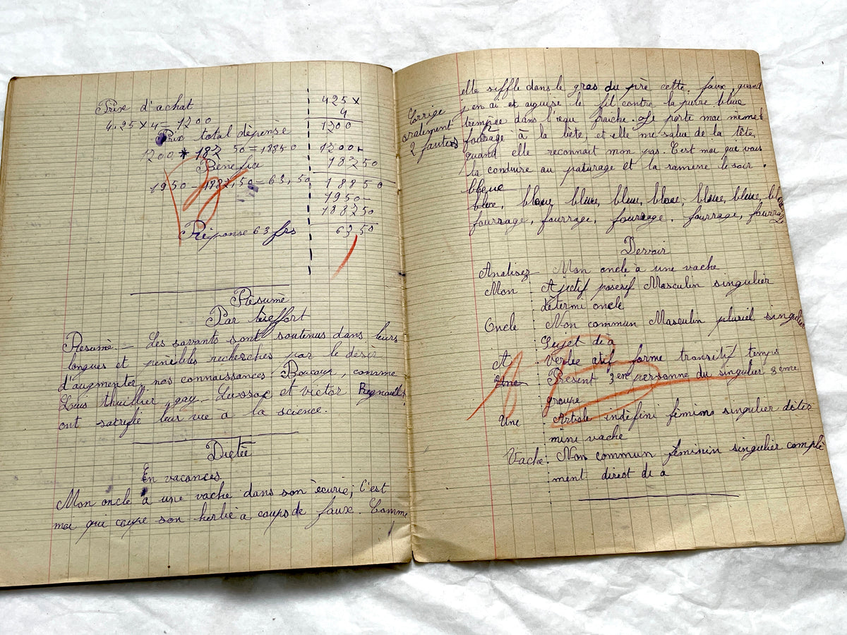 1920s - Authentic French School Girl's School Notebook - Vintage French Ephemera - Handwritten Homework - 1925 Dated Pages