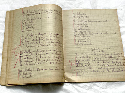 1920s - French School Notebook - Student Learning Document - Original French Education History - Handwritten Ephemera
